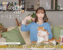 我收留了前男友的猫(全集)